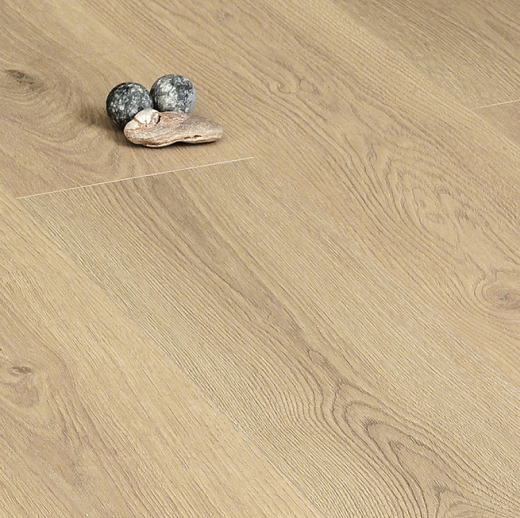 Дуб Раннее утро